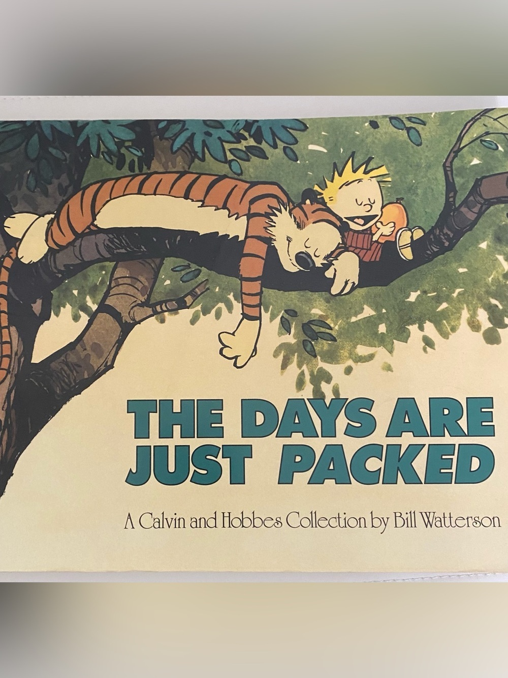 The Days Are Just Packed Calvin and Hobbes Bill Watterson Comic Collection 1993